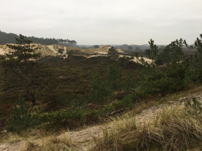 Wandelen in de Duinen Kerst 2018