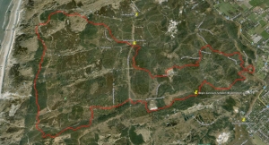 Staatsbosbeheer past mountainbike-route aan